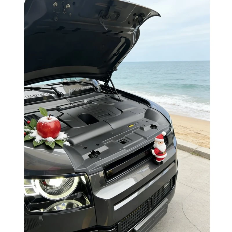 Otomotiv Motor Koruma Kapağı İçin Kalıp